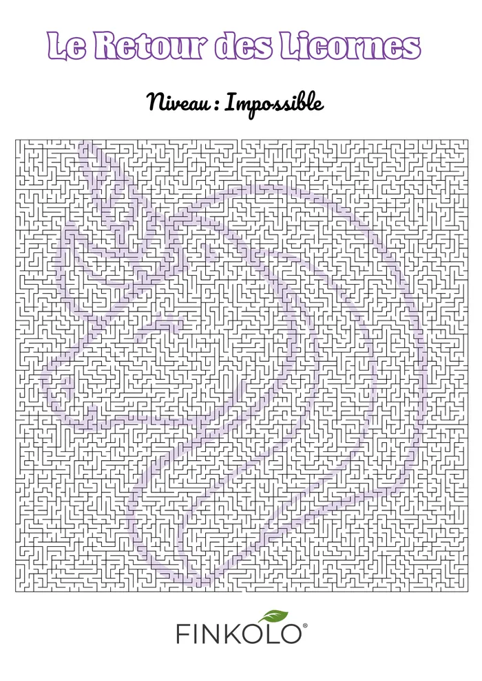 Labyrinthe impossible